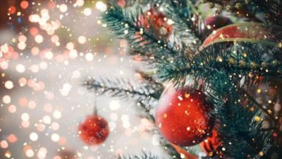 5 Tips for Storing Flocked Christmas Trees